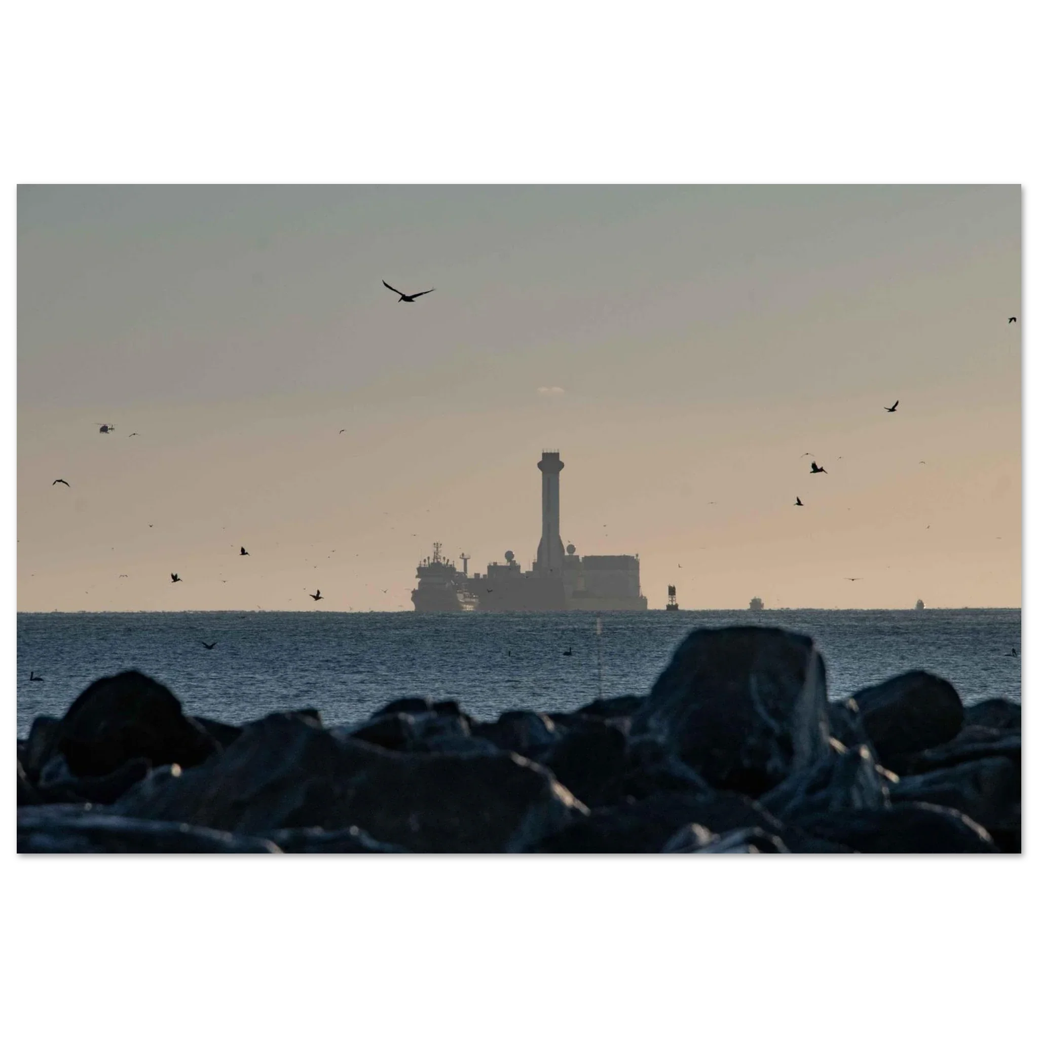 Birds Inbound - Image 2
