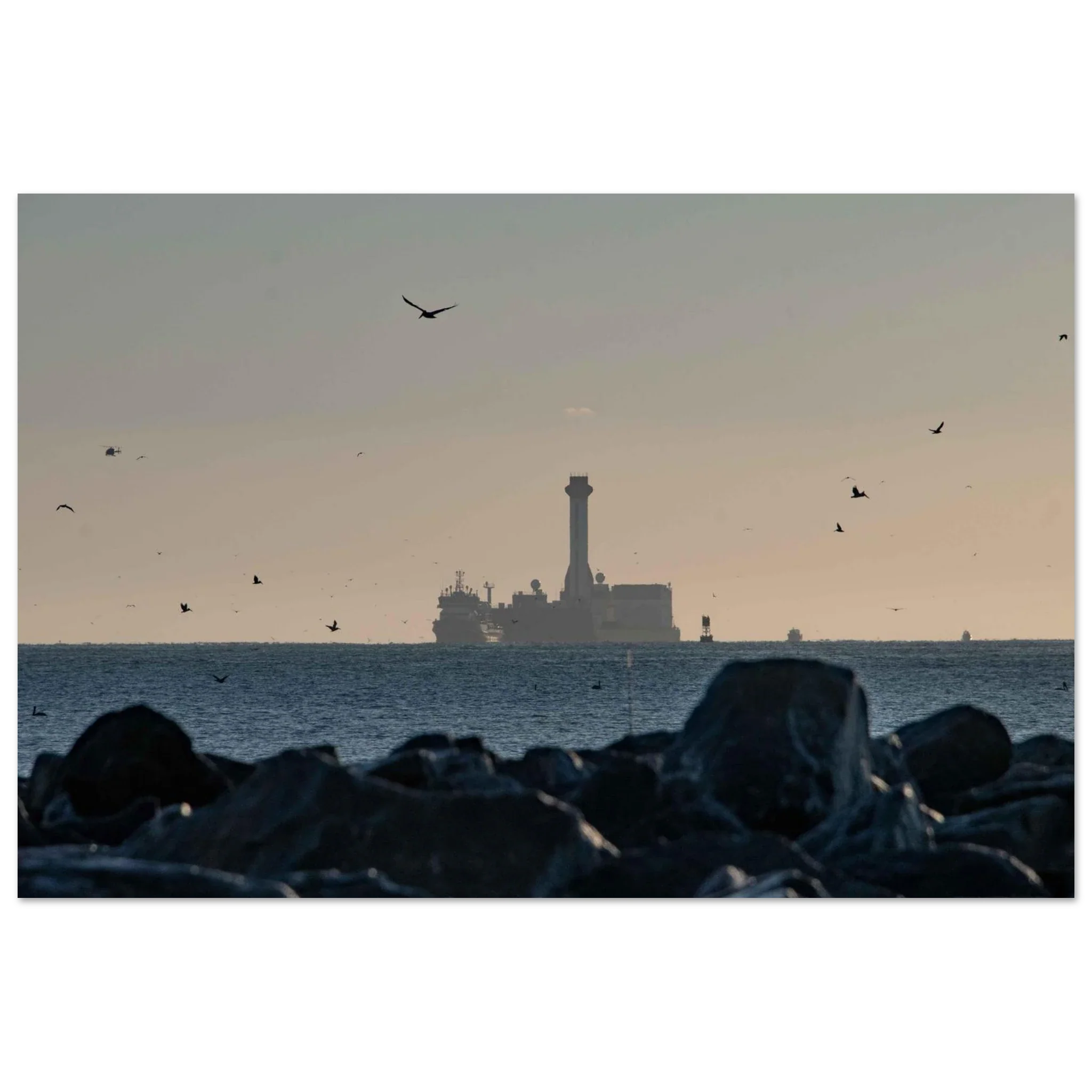 Birds Inbound - Image 3