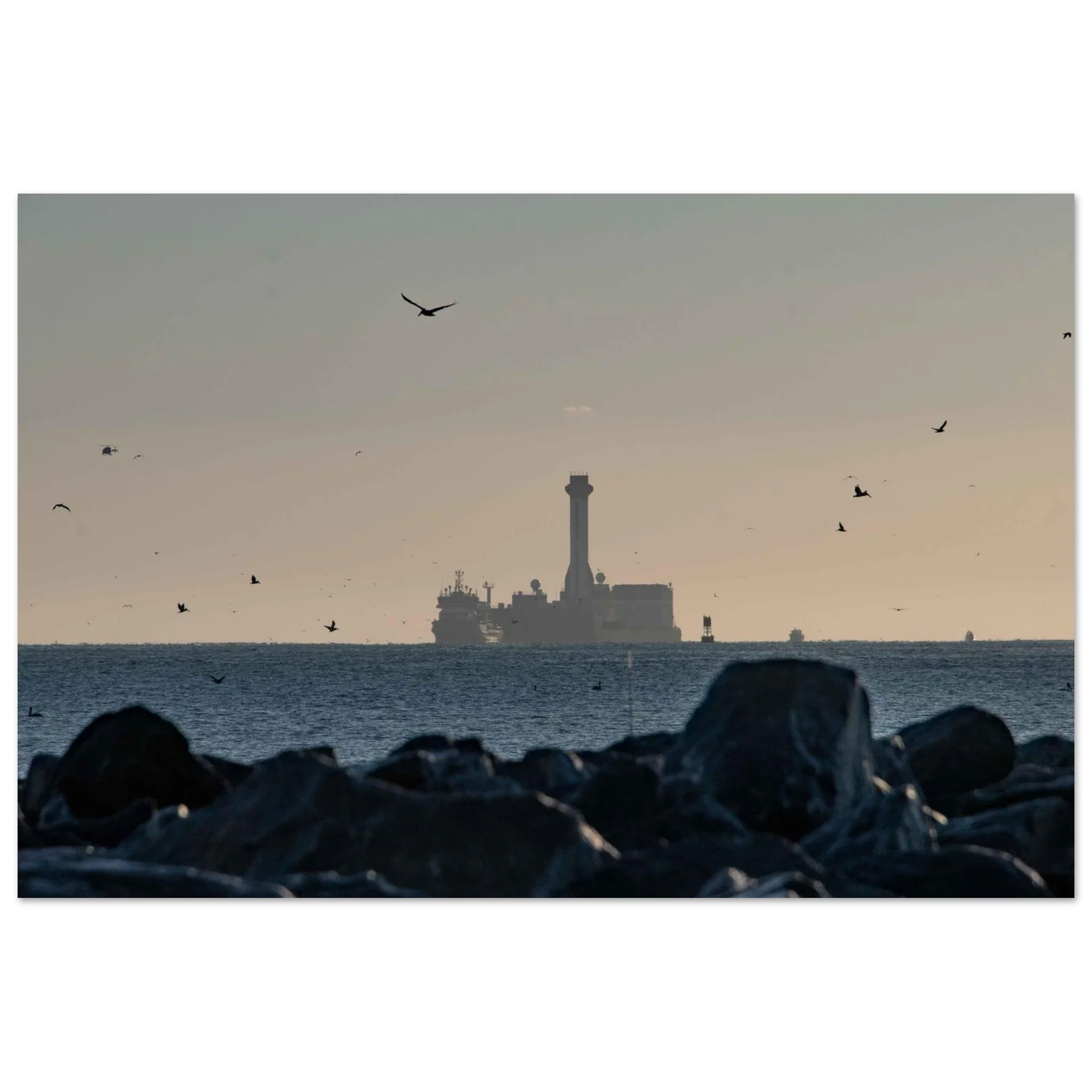 Birds Inbound - Image 5