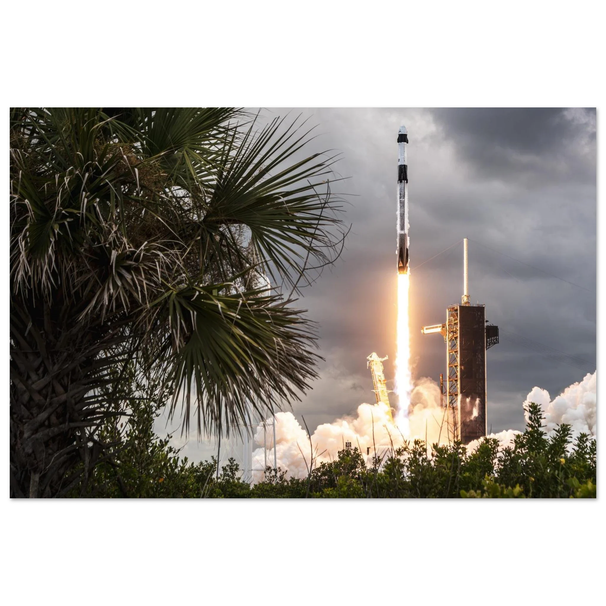 Certified Space Coast Moment: Crew-11 - Image 6