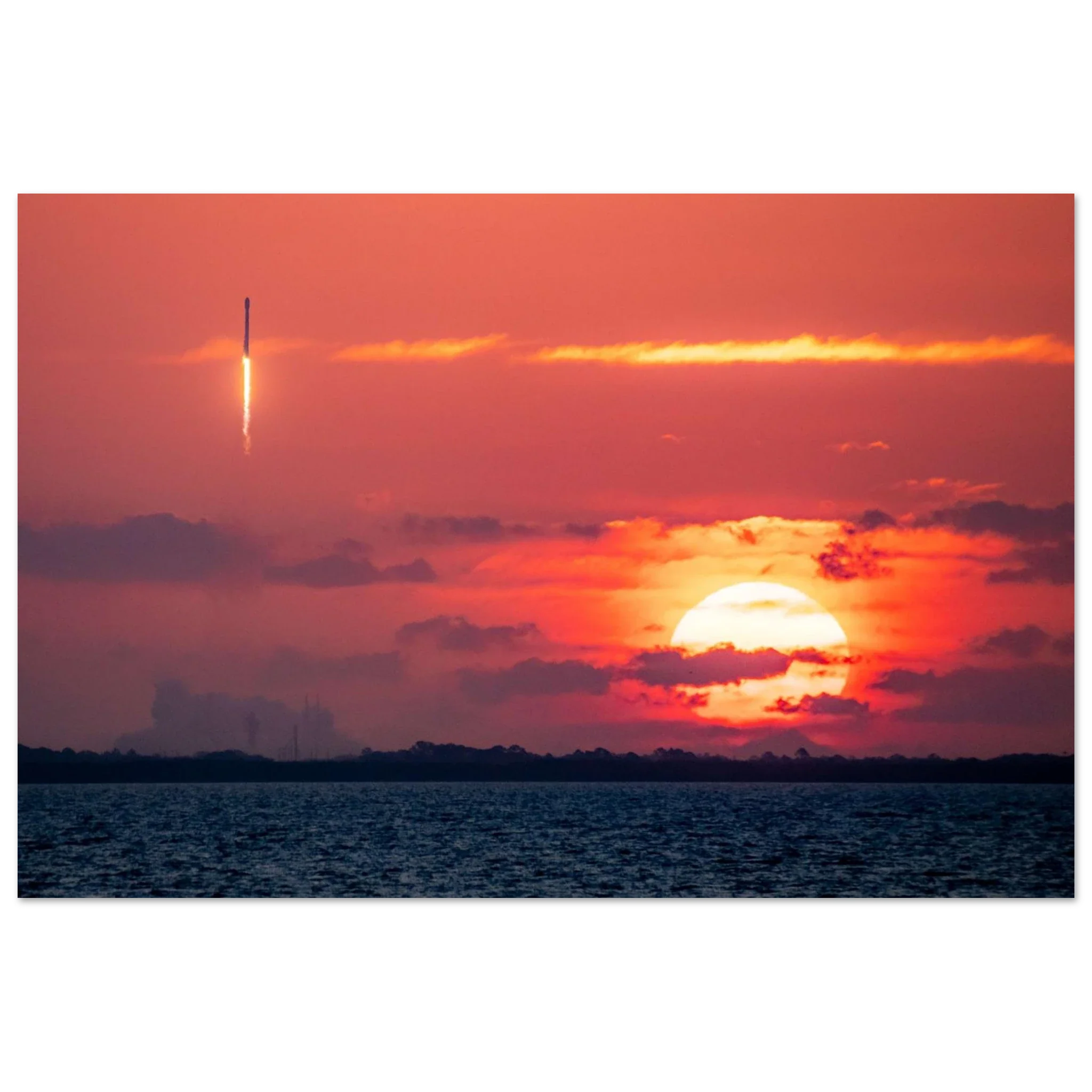 Falconrise - Image 5