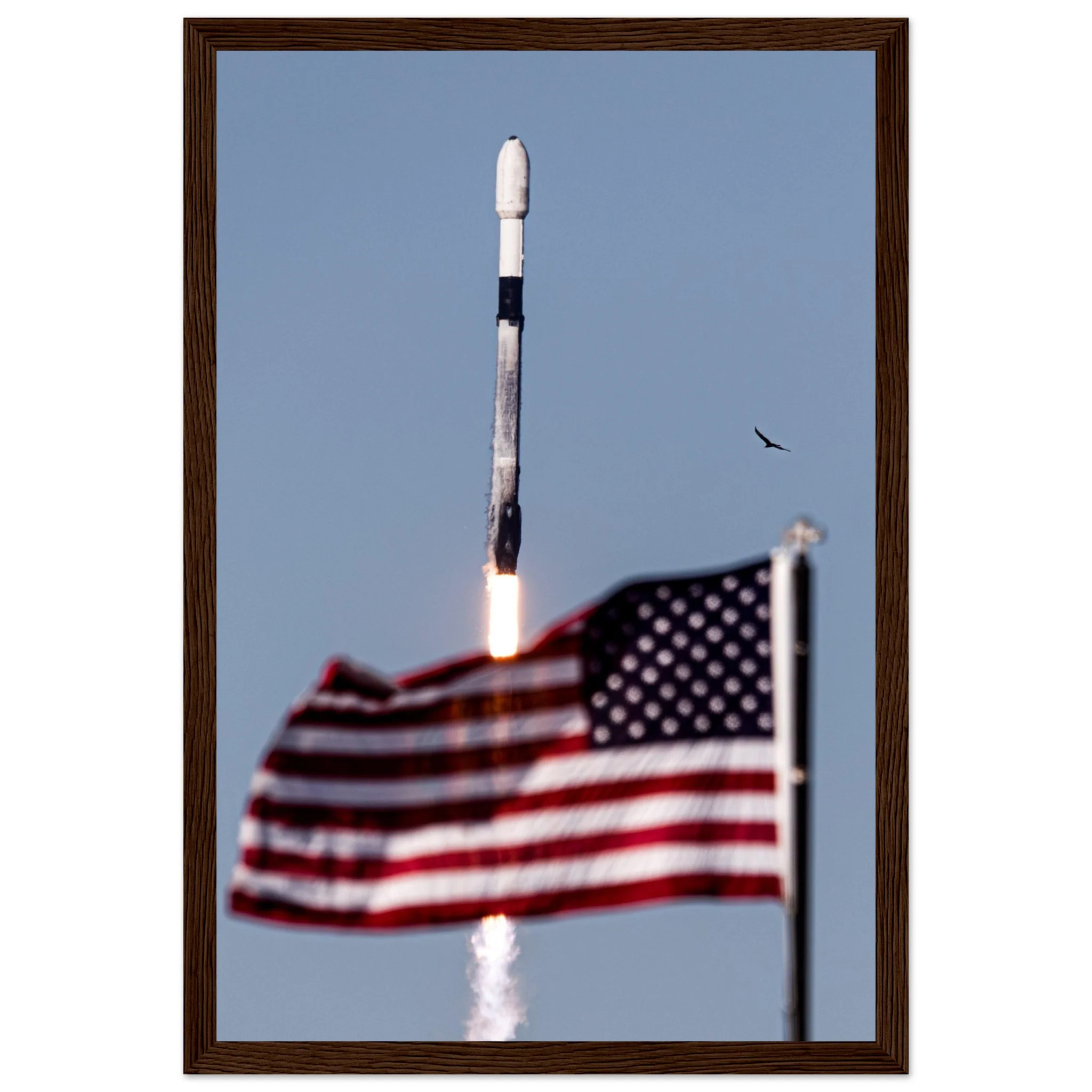 Flag and Falcon - Image 3