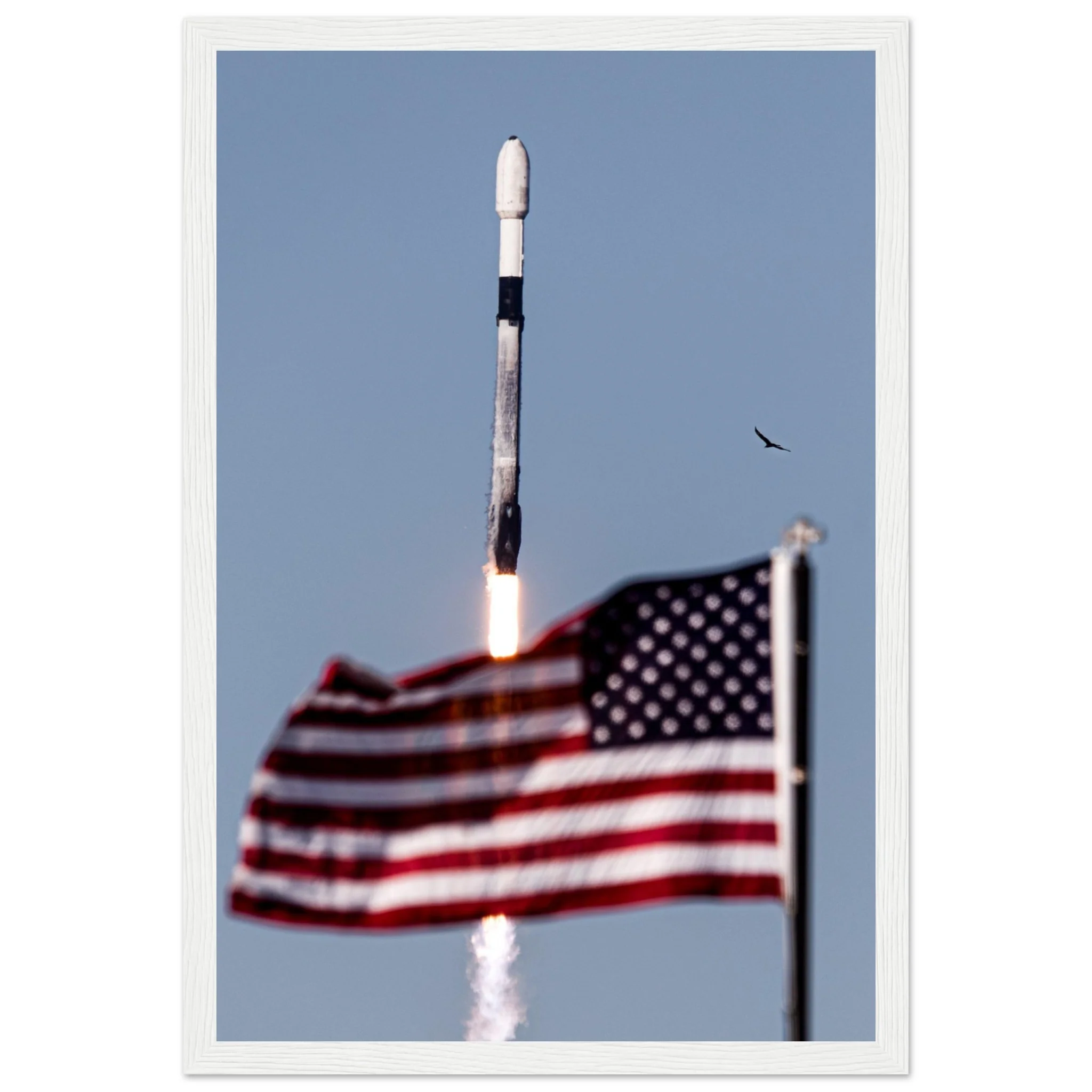 Flag and Falcon - Image 5