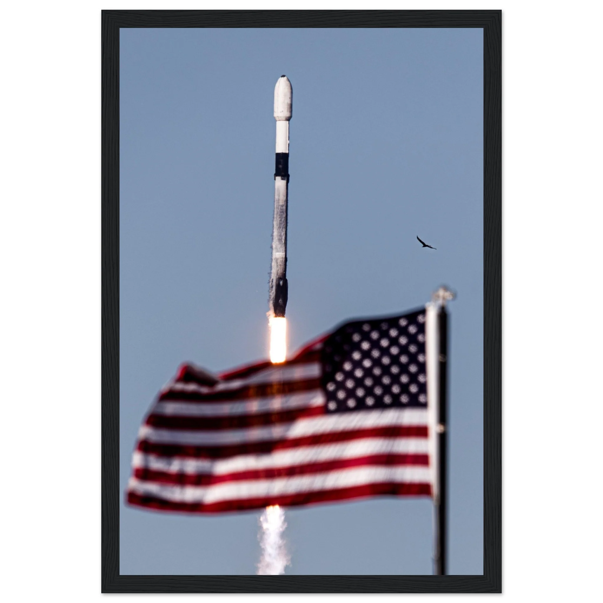 Flag and Falcon - Image 6