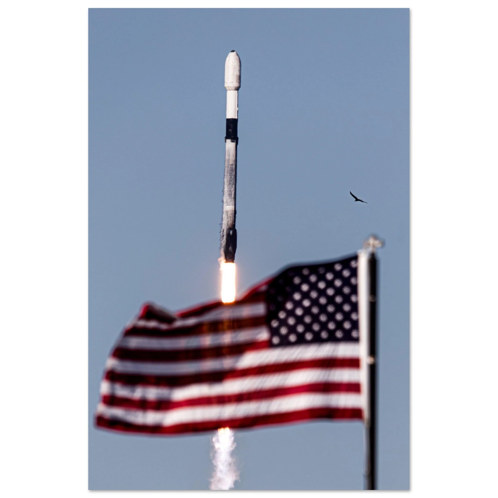 Flag and Falcon - Image 7