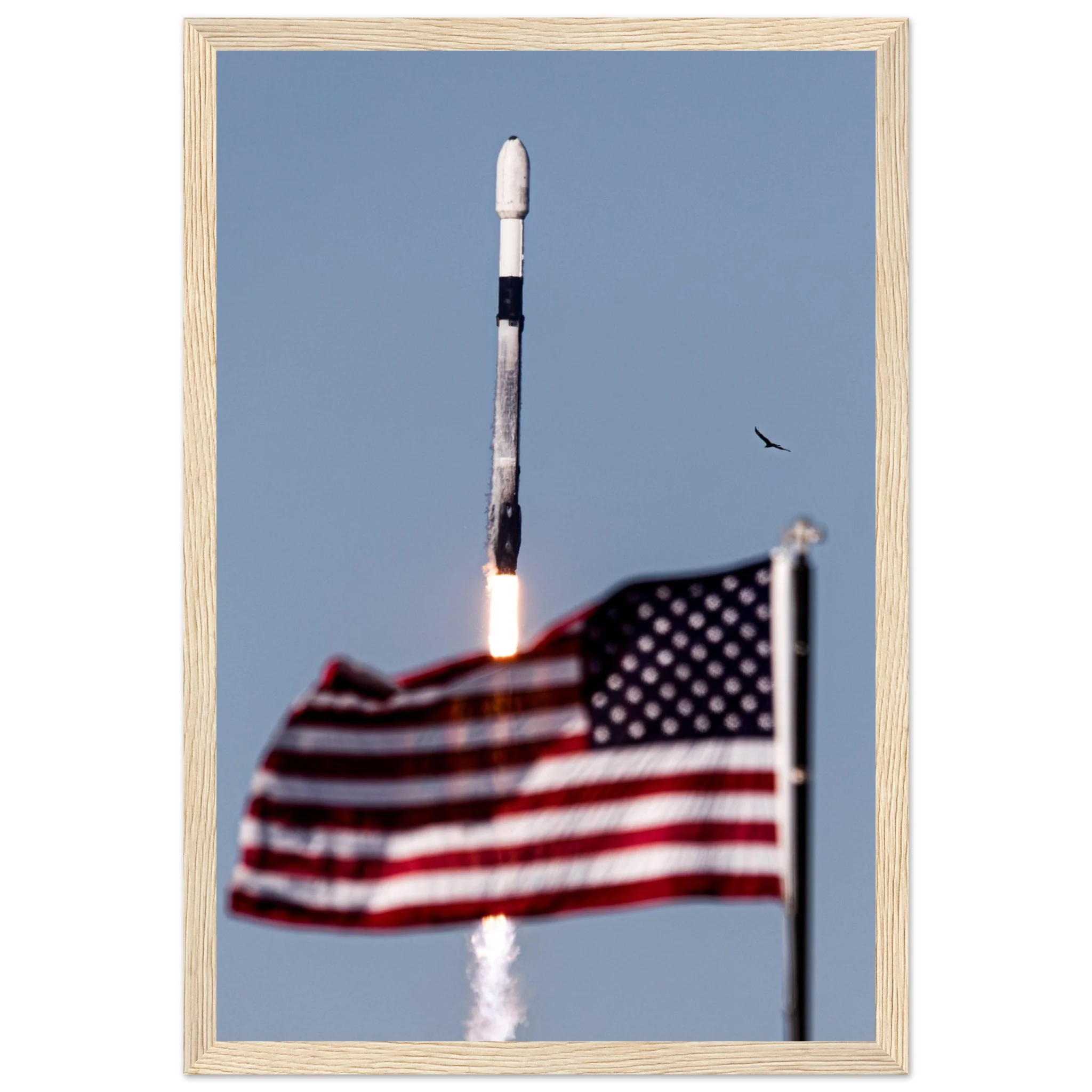Flag and Falcon - Image 8