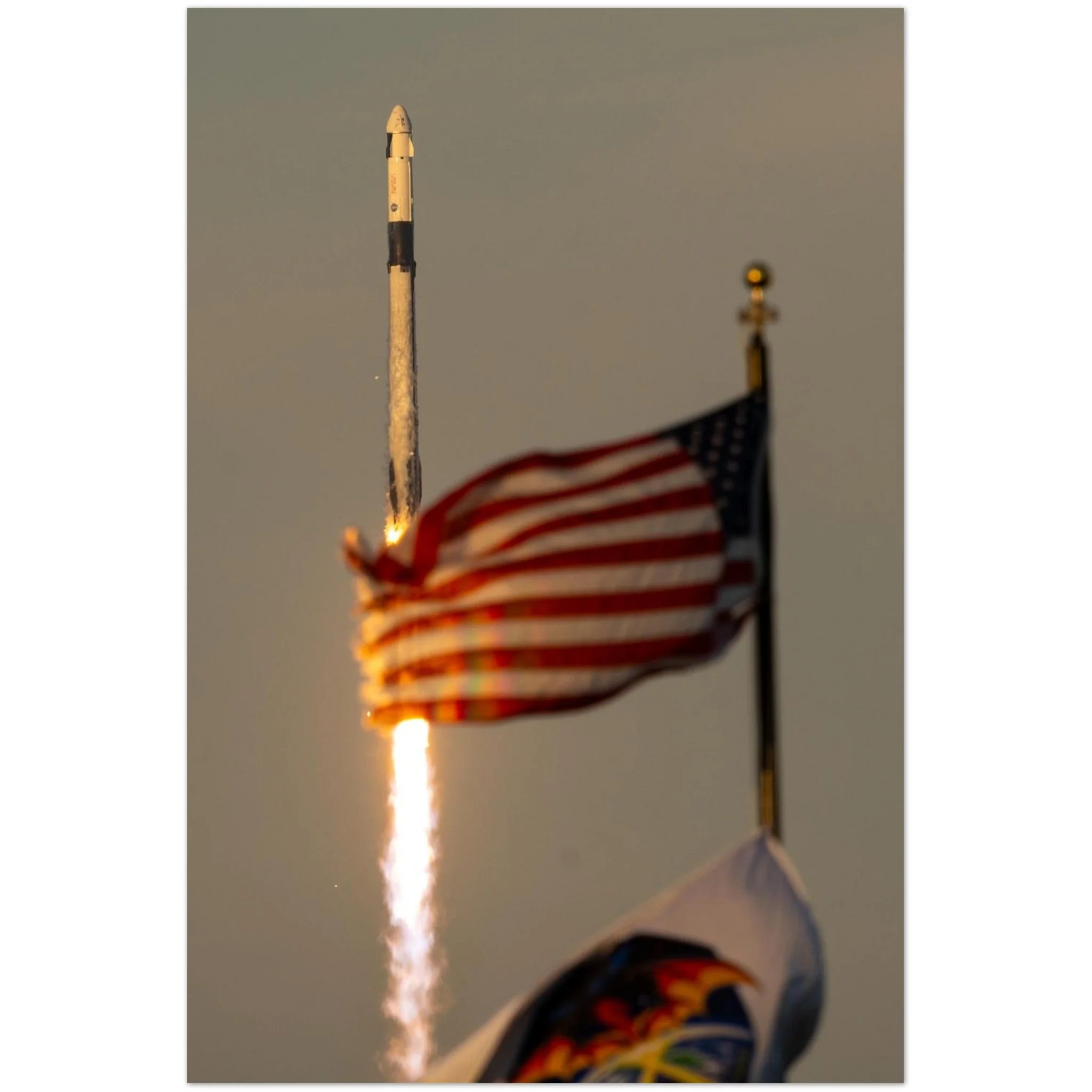 Flags and Dragon Fly - Image 2