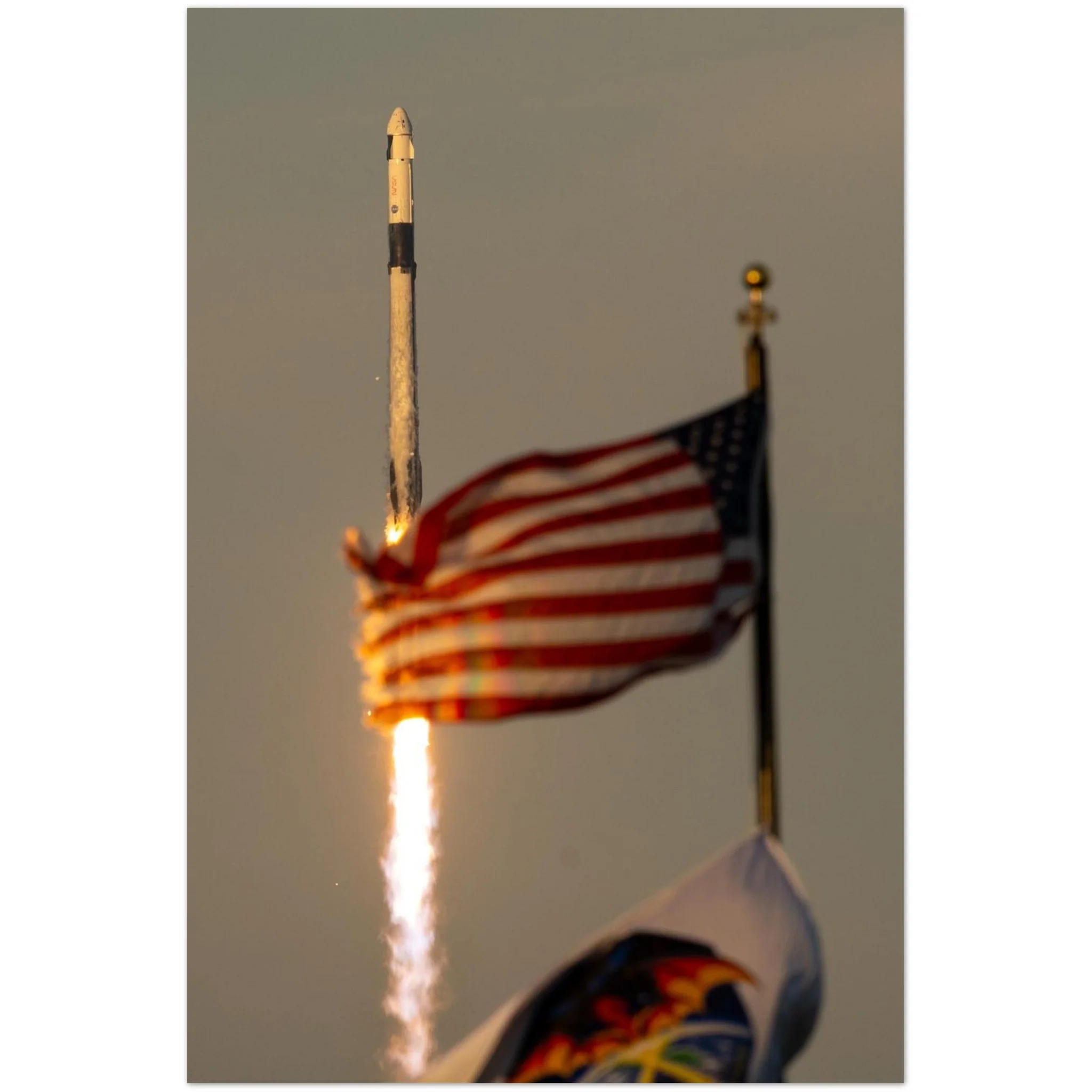 Flags and Dragon Fly - Image 3