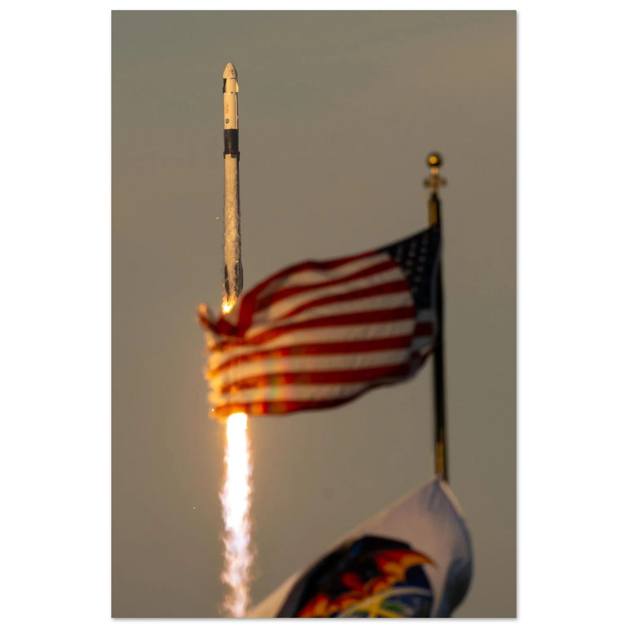 Flags and Dragon Fly - Image 5