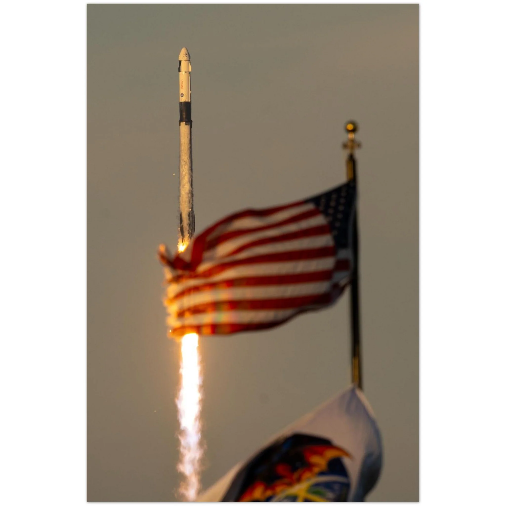 Flags and Dragon Fly - Image 7