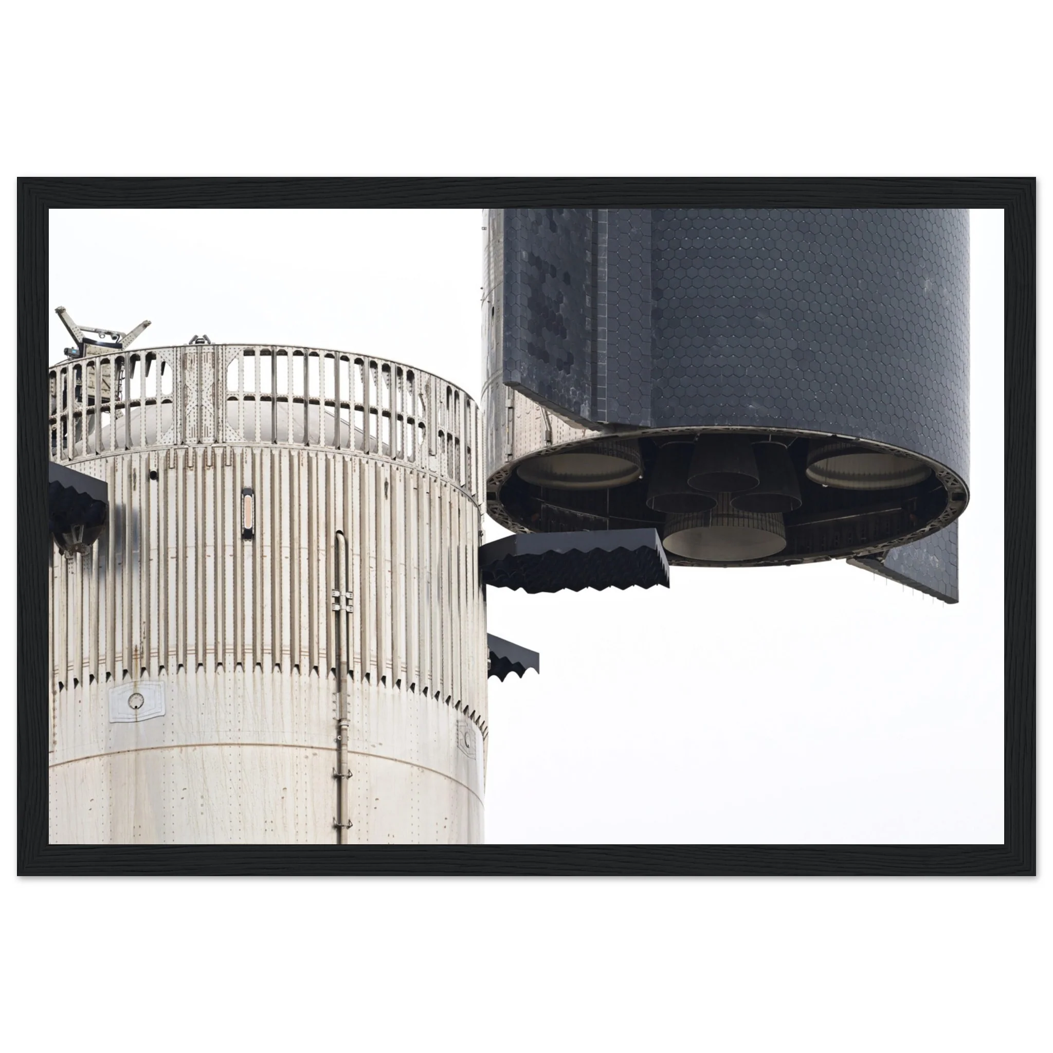 Space Raptors - Image 12