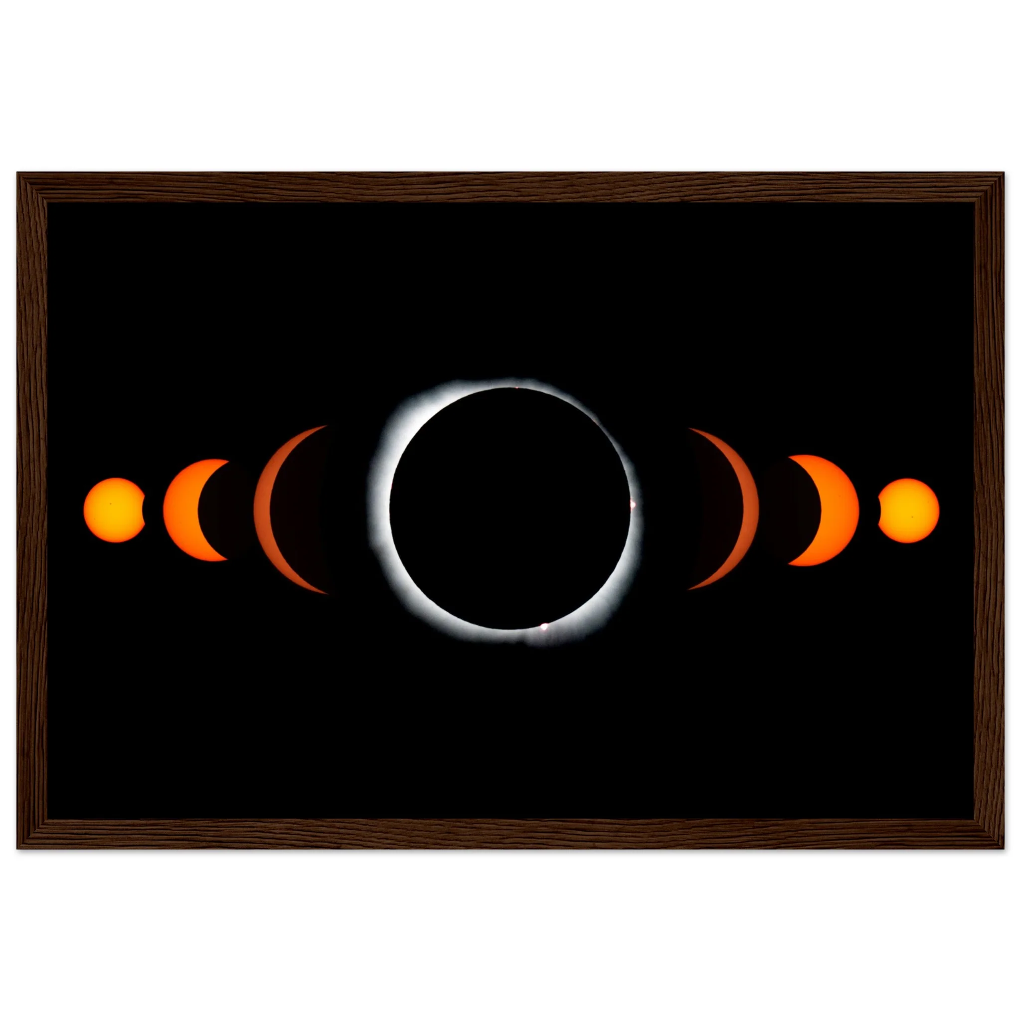Staring Into Black Light - Image 10