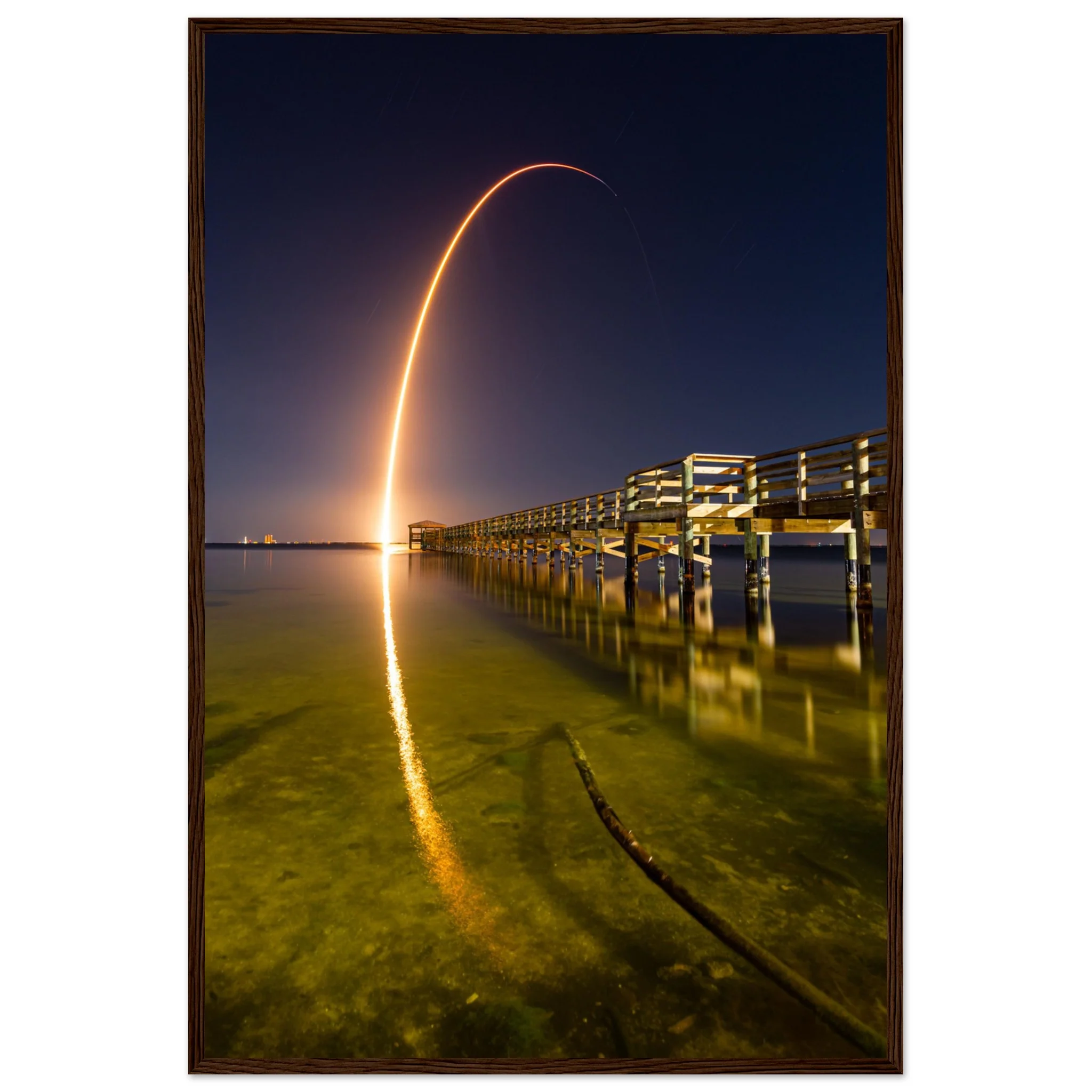 Starlink - Image 2